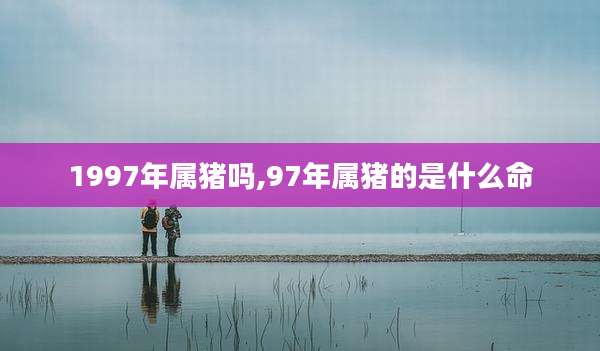 1997年属猪吗,97年属猪的是什么命
