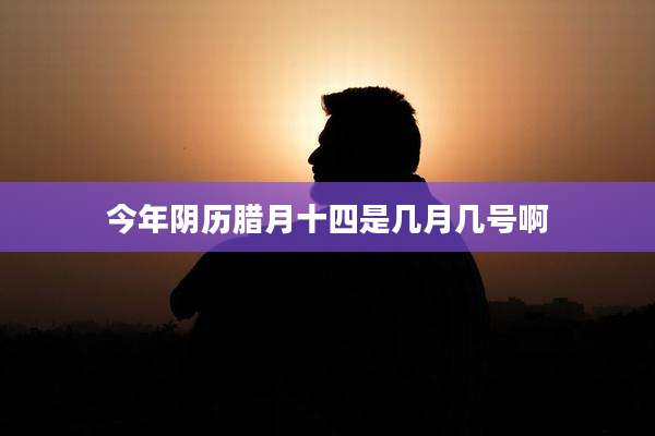 今年阴历腊月十四是几月几号啊