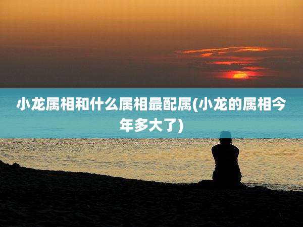 小龙属相和什么属相最配属(小龙的属相今年多大了)