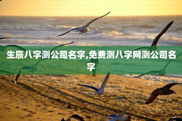 生辰八字测公司名字,免费测八字网测公司名字