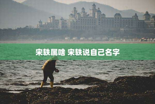 宋轶属啥 宋轶说自己名字
