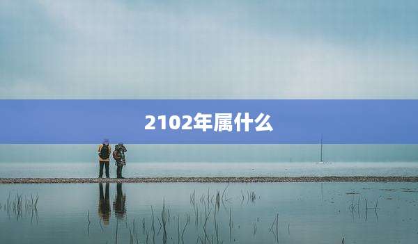 2102年属什么