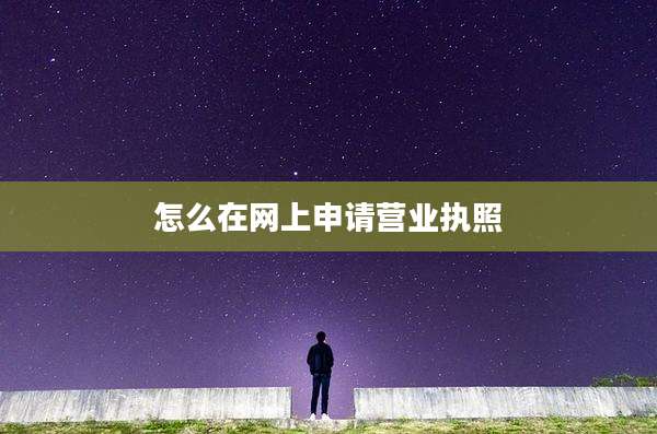 怎么在网上申请营业执照