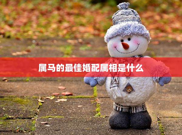 属马的最佳婚配属相是什么
