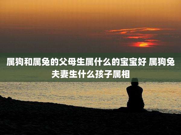 属狗和属兔的父母生属什么的宝宝好 属狗兔夫妻生什么孩子属相