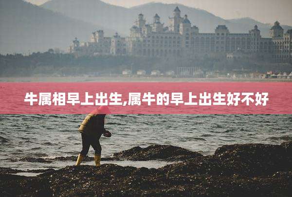牛属相早上出生,属牛的早上出生好不好