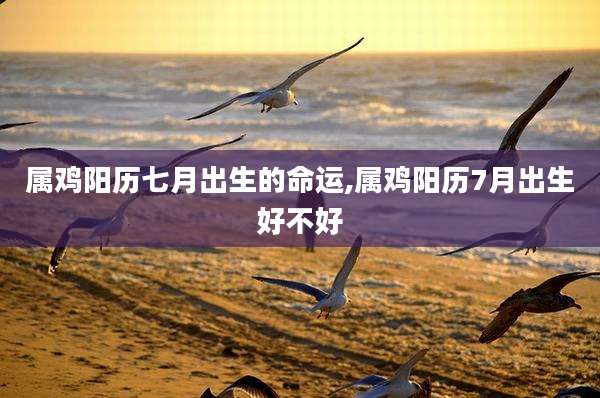 属鸡阳历七月出生的命运,属鸡阳历7月出生好不好