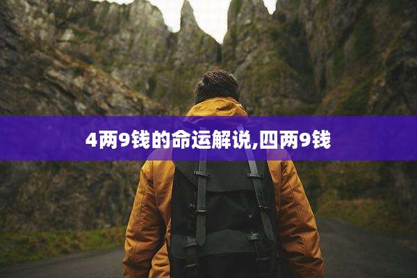 4两9钱的命运解说,四两9钱
