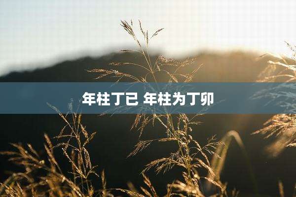 年柱丁已 年柱为丁卯