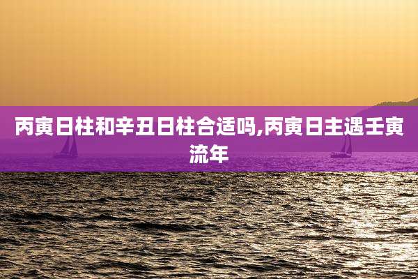 丙寅日柱和辛丑日柱合适吗,丙寅日主遇壬寅流年