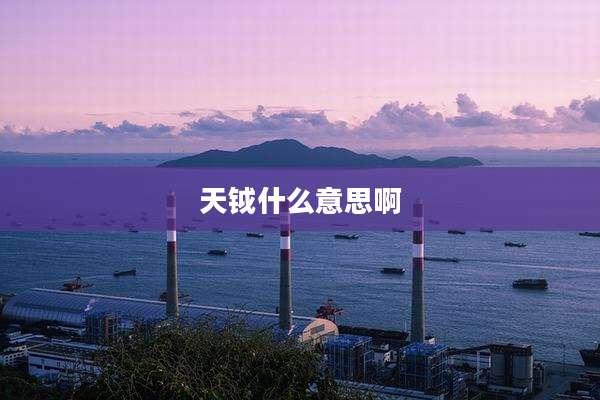 天钺什么意思啊