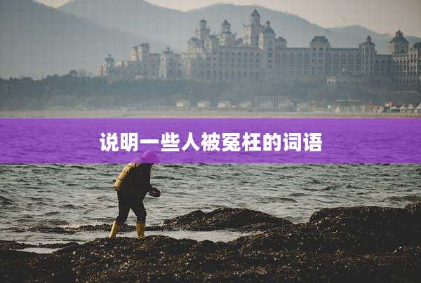 说明一些人被冤枉的词语