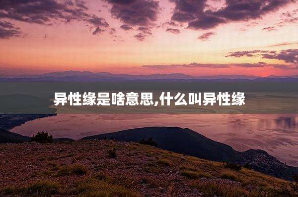 异性缘是啥意思,什么叫异性缘
