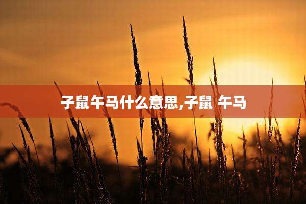 子鼠午马什么意思,子鼠 午马