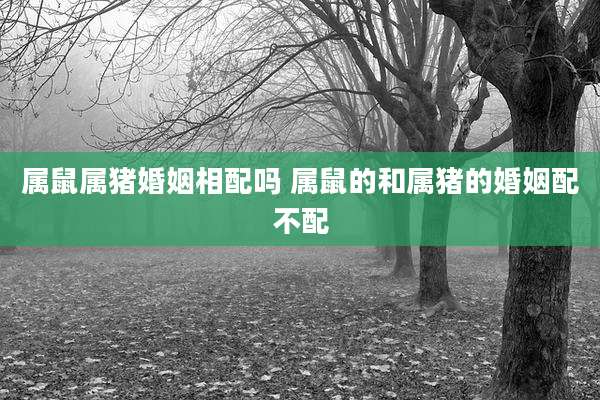 属鼠属猪婚姻相配吗 属鼠的和属猪的婚姻配不配