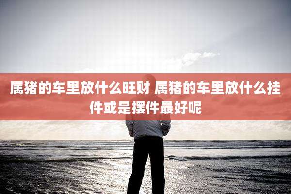 属猪的车里放什么旺财 属猪的车里放什么挂件或是摆件最好呢