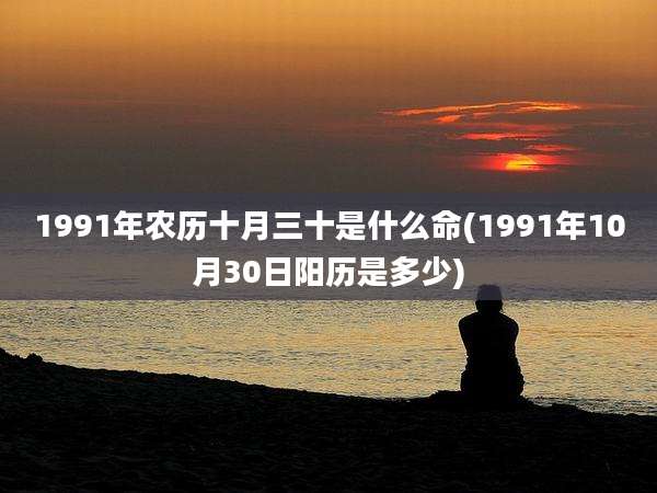 1991年农历十月三十是什么命(1991年10月30日阳历是多少)