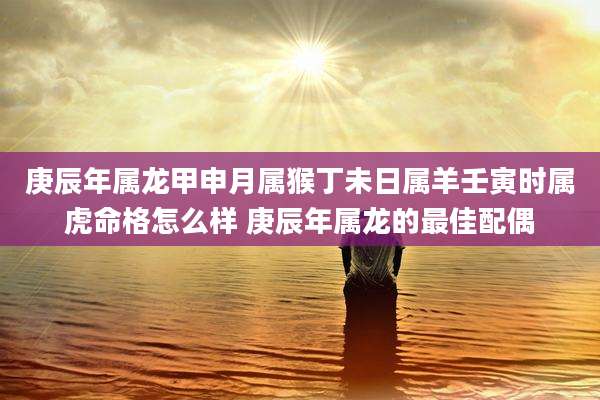 庚辰年属龙甲申月属猴丁未日属羊壬寅时属虎命格怎么样 庚辰年属龙的最佳配偶
