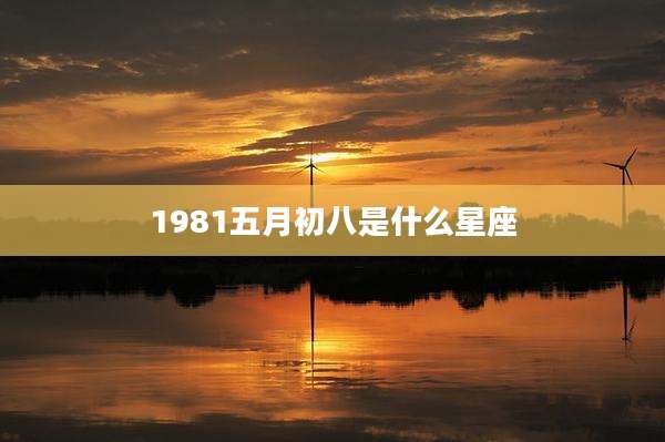 1981五月初八是什么星座