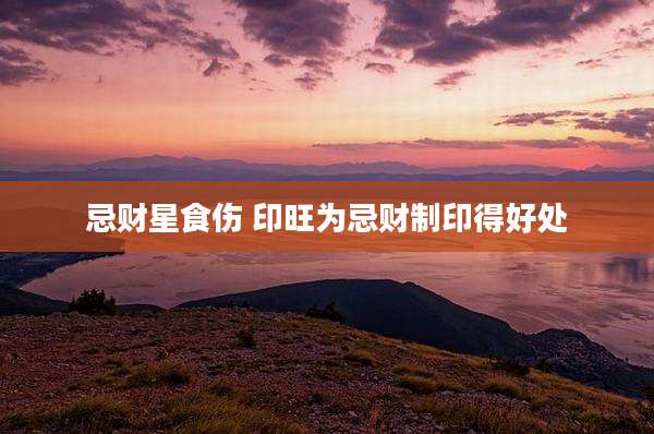 忌财星食伤 印旺为忌财制印得好处