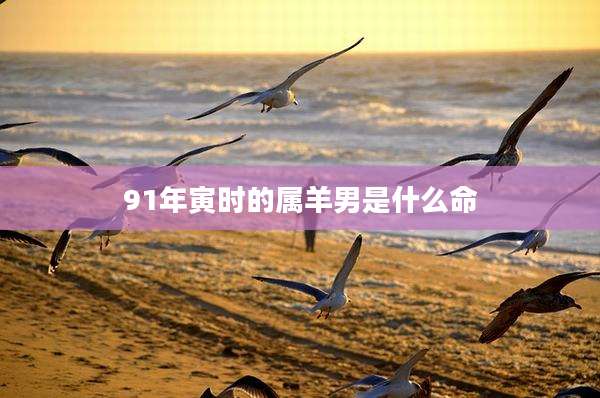 91年寅时的属羊男是什么命
