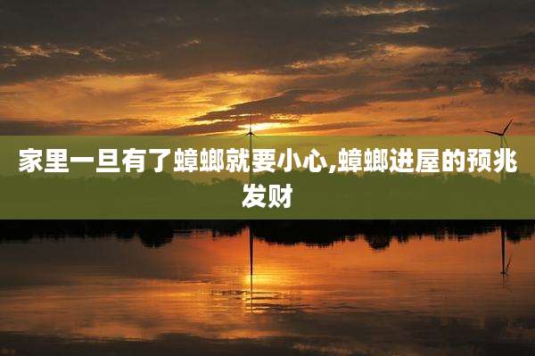 家里一旦有了蟑螂就要小心,蟑螂进屋的预兆发财