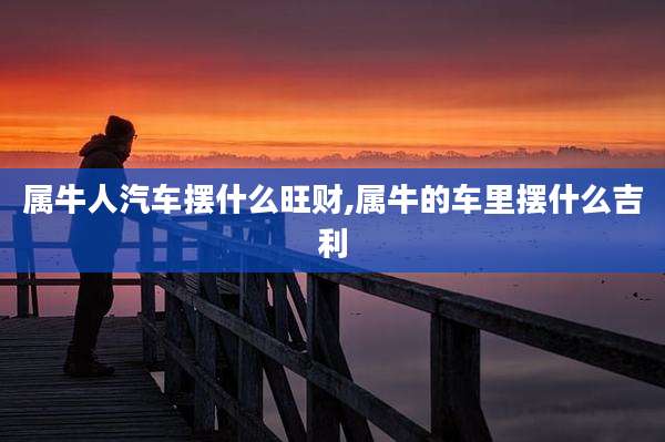 属牛人汽车摆什么旺财,属牛的车里摆什么吉利