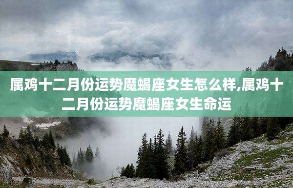 属鸡十二月份运势魔蝎座女生怎么样,属鸡十二月份运势魔蝎座女生命运