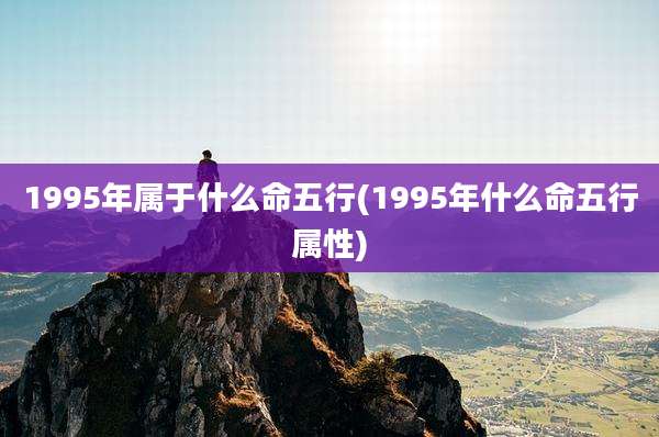 1995年属于什么命五行(1995年什么命五行属性)