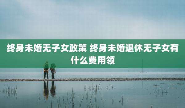 终身未婚无子女政策 终身未婚退休无子女有什么费用领