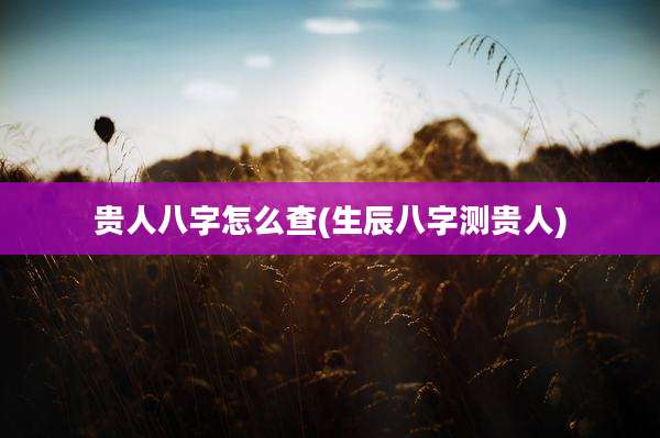 贵人八字怎么查(生辰八字测贵人)