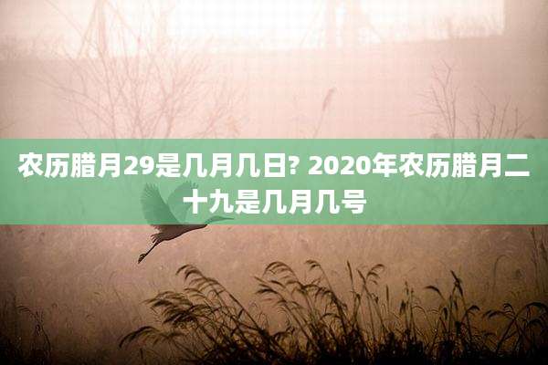 农历腊月29是几月几日? 2020年农历腊月二十九是几月几号