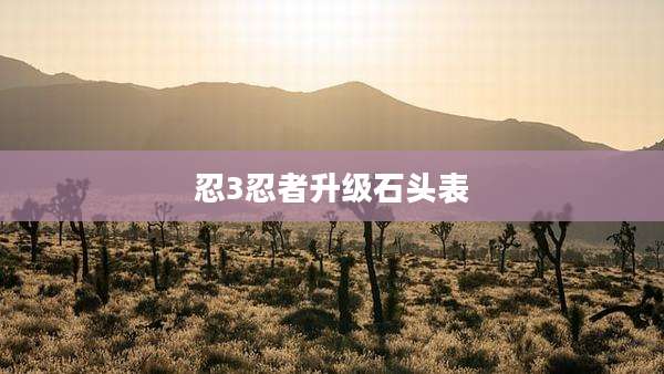 忍3忍者升级石头表