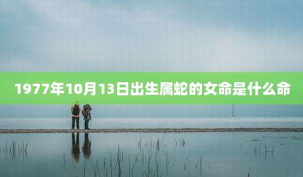 1977年10月13日出生属蛇的女命是什么命