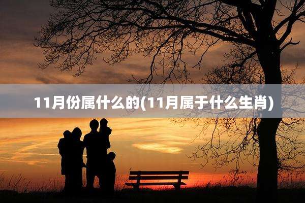 11月份属什么的(11月属于什么生肖)