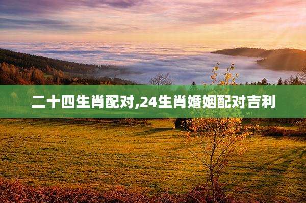 二十四生肖配对,24生肖婚姻配对吉利