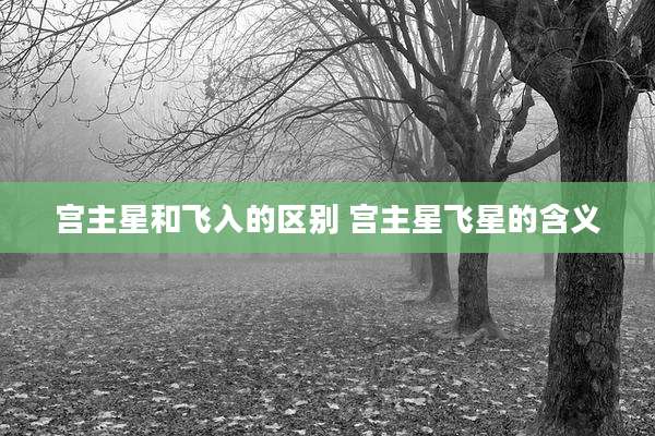 宫主星和飞入的区别 宫主星飞星的含义