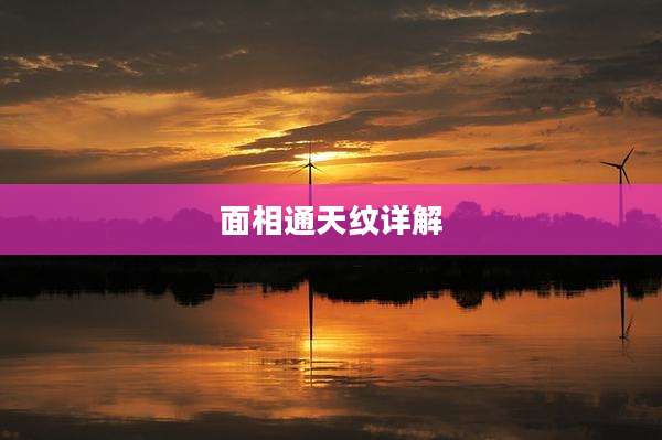面相通天纹详解