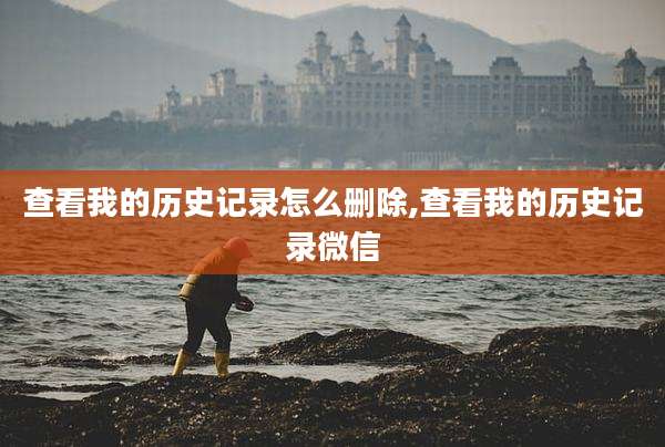 查看我的历史记录怎么删除,查看我的历史记录微信