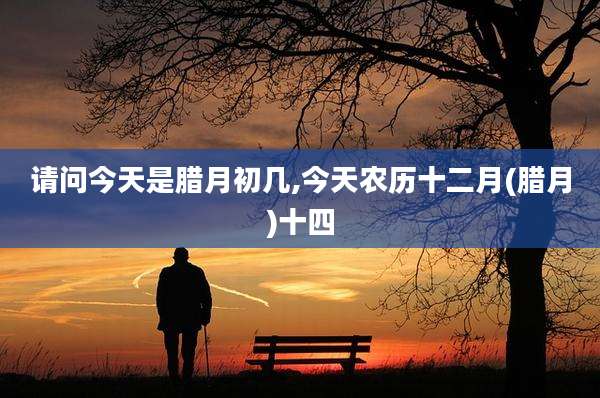 请问今天是腊月初几,今天农历十二月(腊月)十四