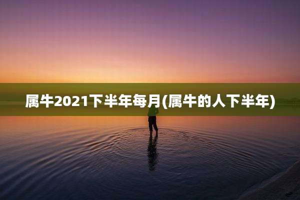 属牛2021下半年每月(属牛的人下半年)