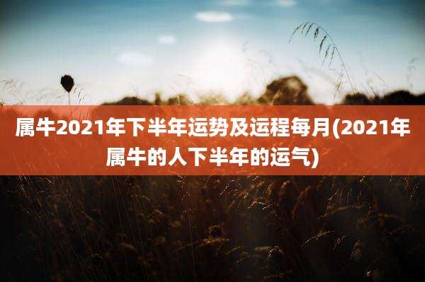 属牛2021年下半年运势及运程每月(2021年属牛的人下半年的运气)