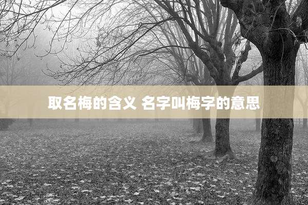 取名梅的含义 名字叫梅字的意思