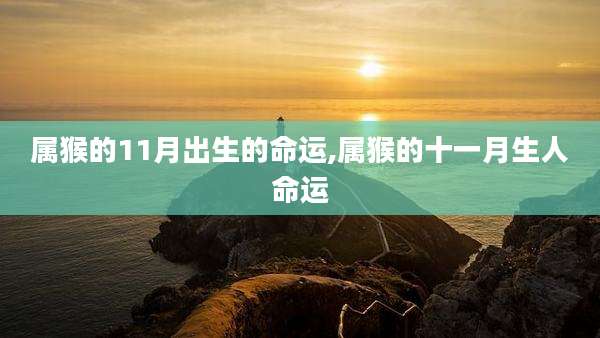 属猴的11月出生的命运,属猴的十一月生人命运