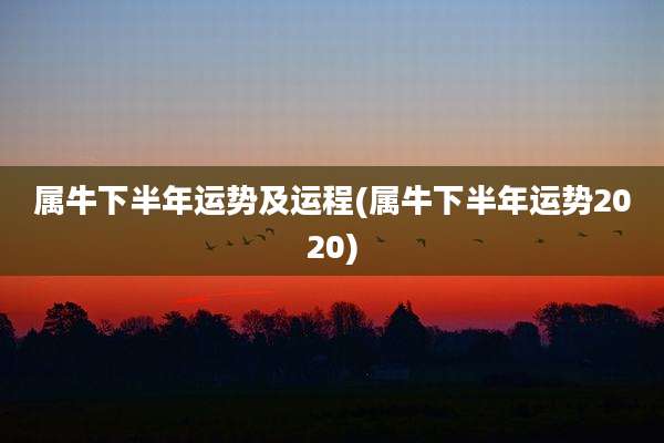 属牛下半年运势及运程(属牛下半年运势2020)