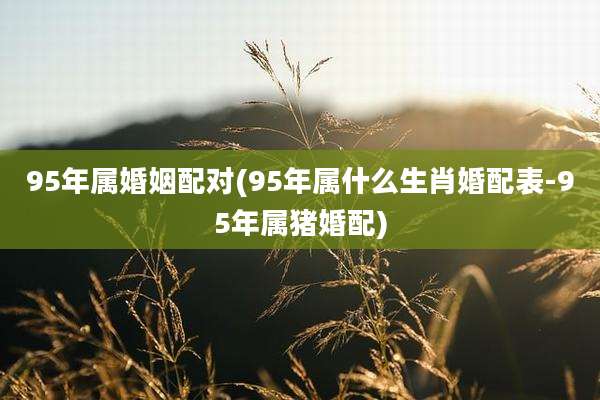 95年属婚姻配对(95年属什么生肖婚配表-95年属猪婚配)
