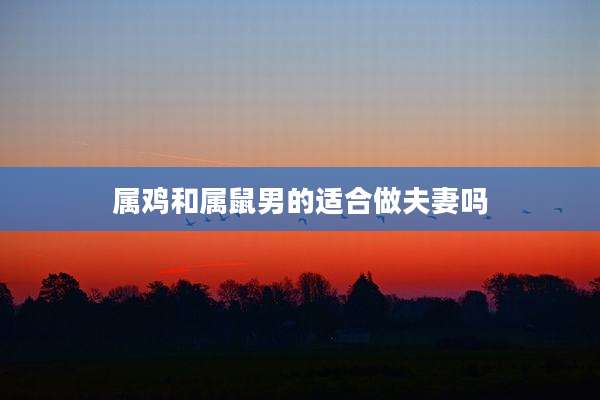 属鸡和属鼠男的适合做夫妻吗