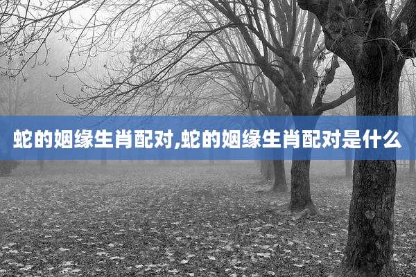 蛇的姻缘生肖配对,蛇的姻缘生肖配对是什么