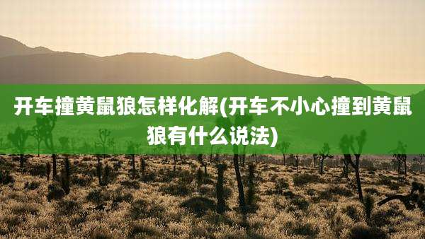 开车撞黄鼠狼怎样化解(开车不小心撞到黄鼠狼有什么说法)