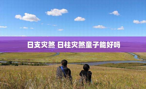 日支灾煞 日柱灾煞童子能好吗